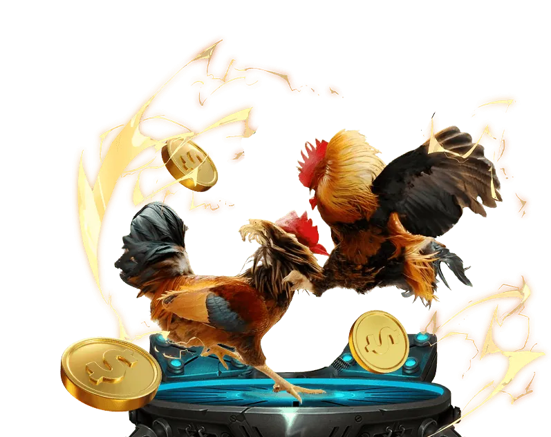 Cá cược bóng đá trực tiếp Onbet Win